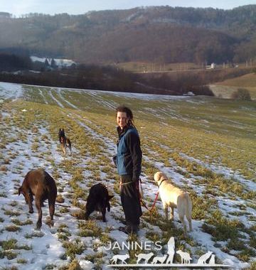 Janine`s Hunde-Rudel, Dogsitting, HUndebetreuung